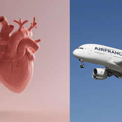 Pink Porcelain Anatomical Heart 3d illustration 3d render (left); Air France Airbus A380 (registration F-HPJD) shown approaching LAX (right)