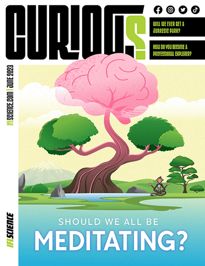 CURIOUS Magazine Issue 11 - Should we all be meditating?