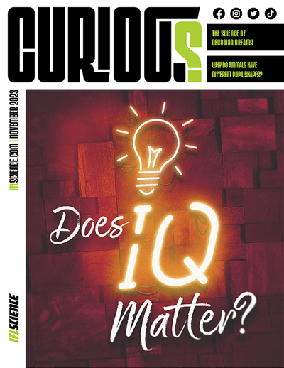 CURIOUS Magazine Issue 16 - Does IQ matter?