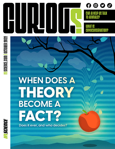 CURIOUS Magazine Issue 3 - When does a theory become a fact?