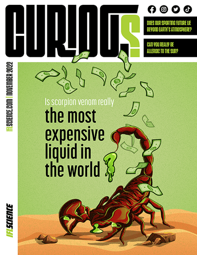 CURIOUS Magazine Issue 4 - Is scorpion venom really the most expensive liquid in the world?