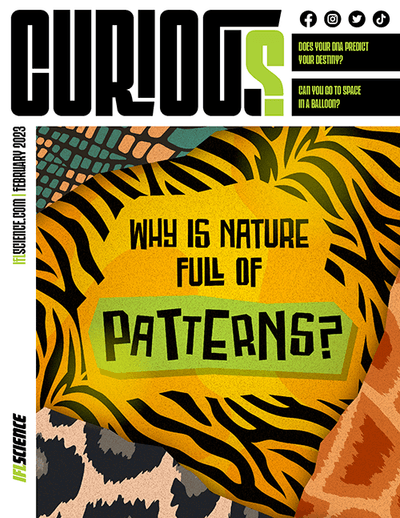 CURIOUS Magazine Issue 7 - Why is nature full of patterns?