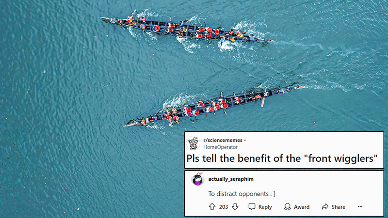 Kerala boat race from above.