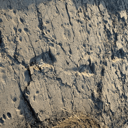 Test-pit L8 at Laetoli Site S, another set of footprints at the site unearthed in 2015.