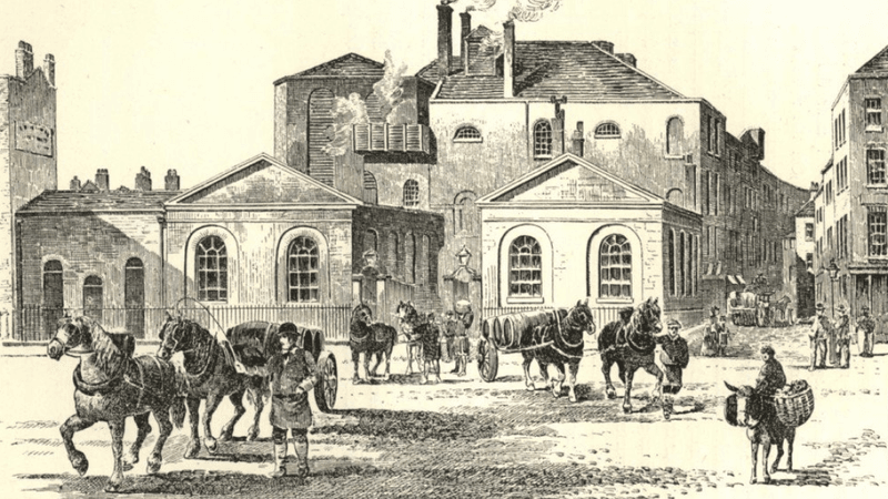 the horse shoe brewery, an illustration showing several horses and people in front of the old brewery