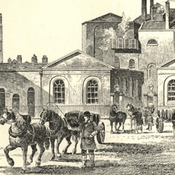 the horse shoe brewery, an illustration showing several horses and people in front of the old brewery