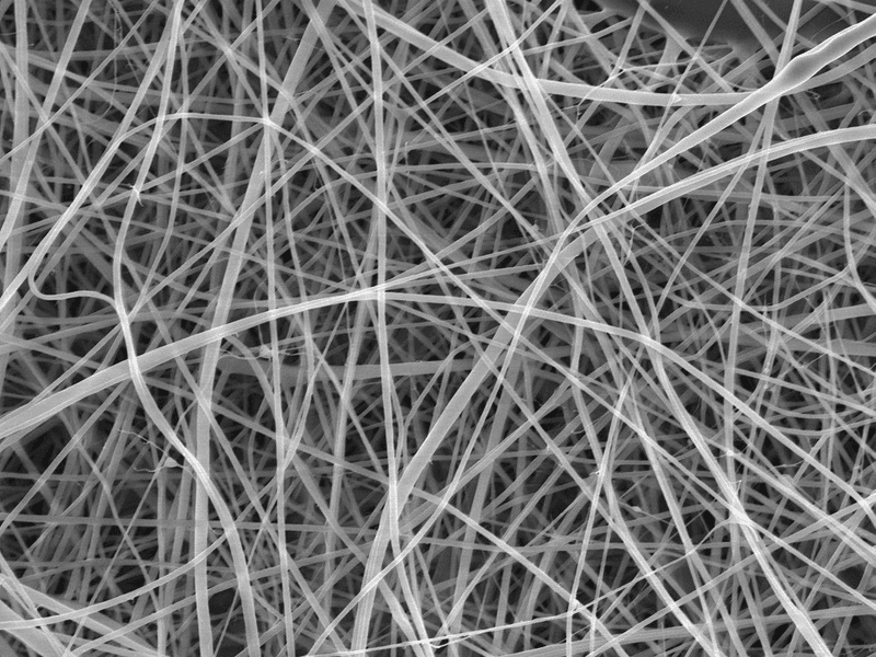 thin long strands are visible in this image all in many direction overlaping to create a little mat full of fibers with no gaps between them