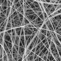 thin long strands are visible in this image all in many direction overlaping to create a little mat full of fibers with no gaps between them