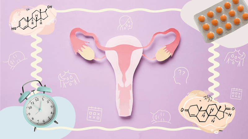 collage of menopause-related imagery, including an alarm clock, chemical structures of hormones, orange pills in a blister pack, and a diagram of human uterus and ovaries, on a lilac backgroun