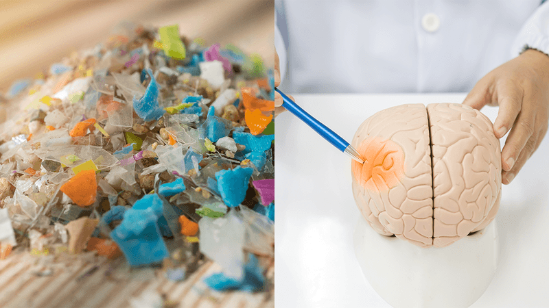 pile of small plastic particles on the left, closeup of 3D model of human brain on the right with scientist using pen to indicate a highlighted red patch