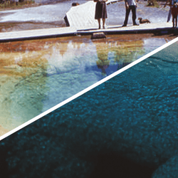 A side-by-side view of Morning Glory Pool, seen in 1965 after contamination (top left) and in a historic undated photo (bottom right).