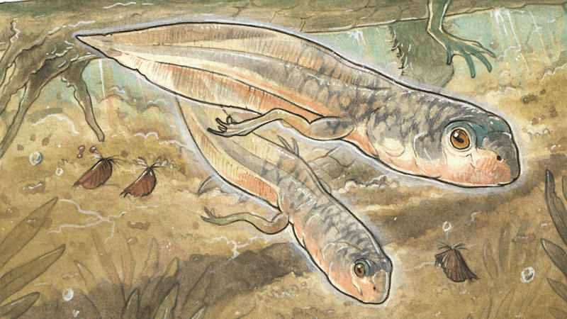 an illustration of a tadpole in jurassic waters