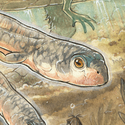 an illustration of a tadpole in jurassic waters