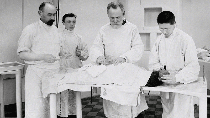 Pavlov operates on a dog, with three lab assistants.