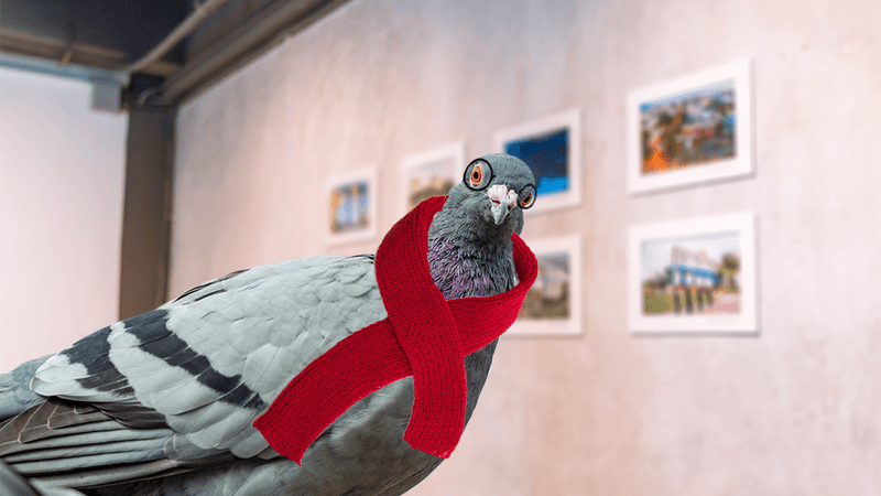 pigeon wearing a scarf and glasses in an art gallery