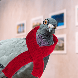 pigeon wearing a scarf and glasses in an art gallery