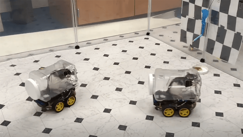 Rats driving cars in a laboratory experiment.