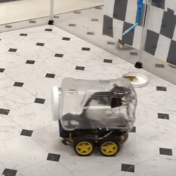 Rats driving cars in a laboratory experiment.