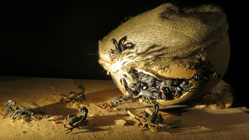 a replica scorpion bomb showing a pot filled with scorpions