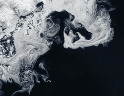 When sea ice melts it doesn't turn straight to water, instead it thins and darkens, creating the intermediary shades in this image from NASA's Terra satellite.