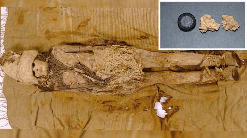 One of the Tarim Mummies and the world's oldest cheese 