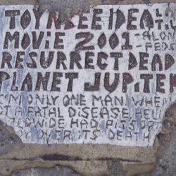 one of the toynbee tiles embedded in a street in the united states