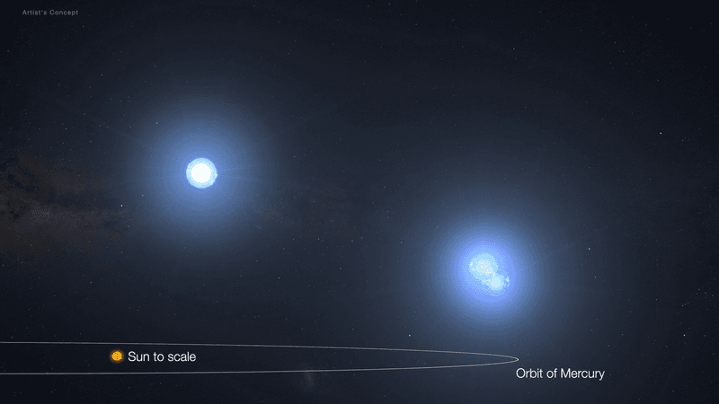 A comparison of the distances of the stars in the TIC 290061484 system with the Sun and Mercury's orbit to scale.