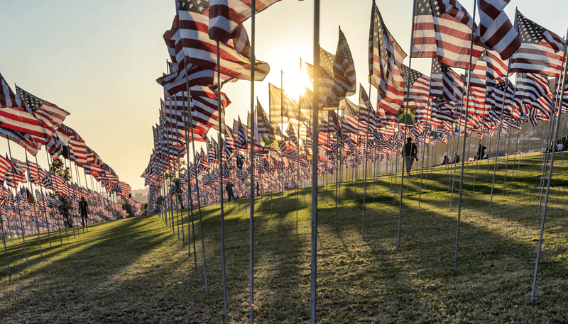 Silhouettes of people among many American USA flags on poles flying at sunset on green field.