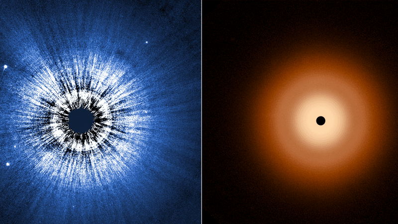 two images side to side. The hubble one looks a bit like a LP record with thin little grovoes and rais stretching from the middle the jwst is very smooth and uniform with a ring structure away from the star.