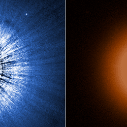 two images side to side. The hubble one looks a bit like a LP record with thin little grovoes and rais stretching from the middle the jwst is very smooth and uniform with a ring structure away from the star.