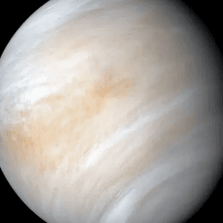 A picture of Venus taken by Mariner 10. It shows the planet covered in a thick layer of clouds