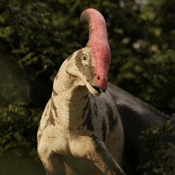 parasaurolophus looking inquisitive