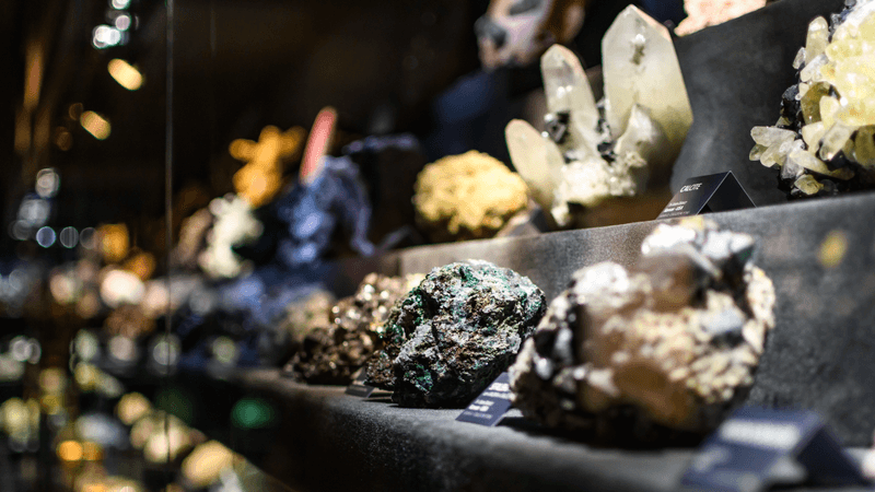 a row of minerals crystals and gemstones in a museum