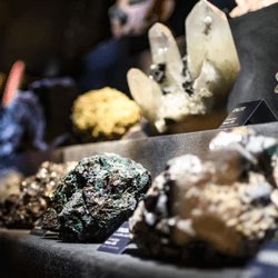 a row of minerals crystals and gemstones in a museum