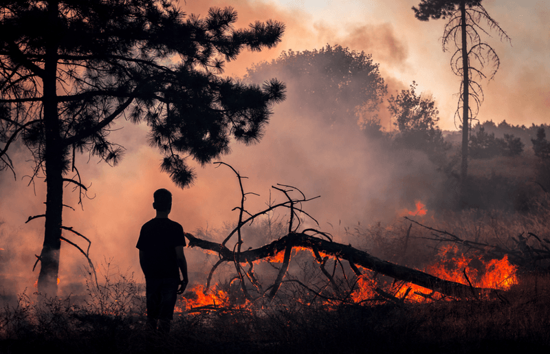 Boy looking at wildfire at sunset, burning pine forest in the smoke and flames, linked to climate change.