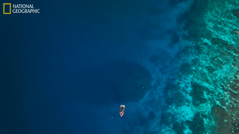 a tiny boat over the shadow of a massive coral